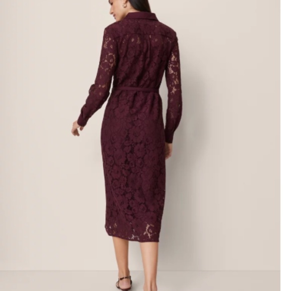 Ann Taylor Belted Lace Midi Shirtdress Poised Plum Women - Picture 3 of 9